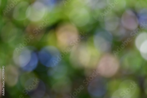 背景素材 自然の丸ボケ 玉ボケ 木漏れ日 Stock Photo Adobe Stock 背景素材 自然の丸ボケ 玉ボケ 木漏れ日 Stock Photo Adobe Stock