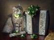 Cat and accordion with a bouquet of flowers