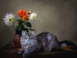 Kitty  with bouquet of dahlia flowers