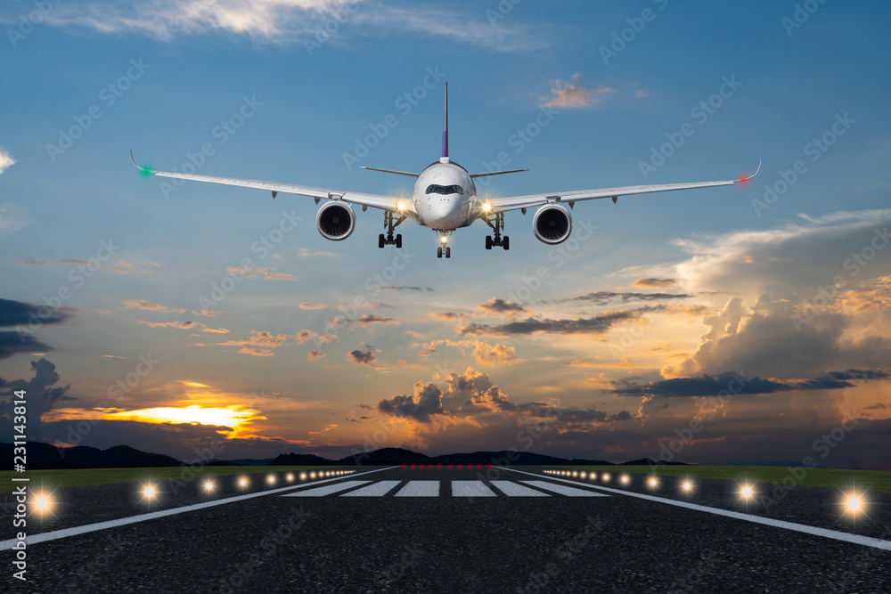 Airplane landing in the evening with beautiful sunset background - obrazy, fototapety, plakaty 