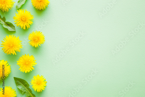 Dandelion Quotes Dandelion Sayings