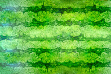 striped crust of watermelon, background, texture