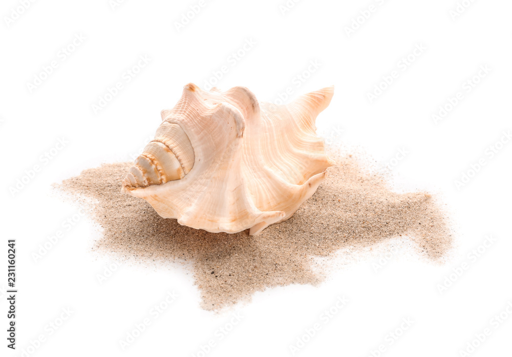 Seashell and sand on white background