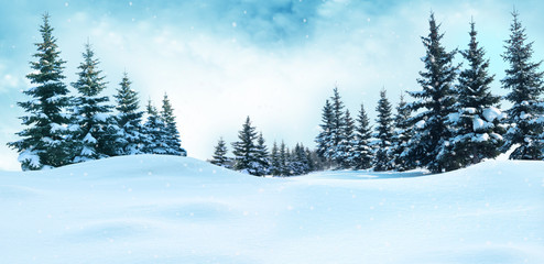 Wall Mural - Beautiful winter landscape with snow covered trees.Christmas background