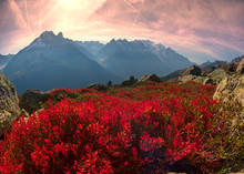 Red Autumn Chamonix In The Alps