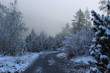 canvas print picture - Winterlandschaft in den Bergen