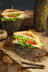 Two tasty sandwich with chicken, tomatoes, lettuce, cheese and spices on the bark of a tree on a dark background