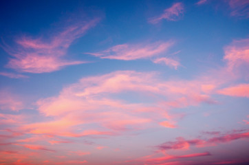 Wall Mural - Sunset sky with pink clouds