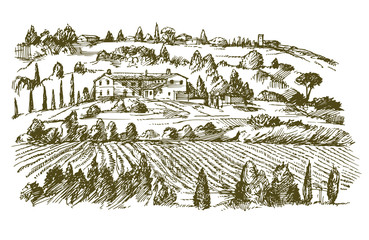 Sticker - Wide view of vineyard. Vineyard landscape panorama. Hand drawn illustration.