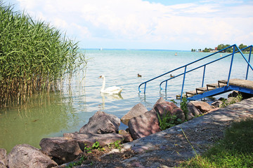 Wall Mural - Balaton Hungary European big lake Tihany city view 2018 summer travel tourism photos