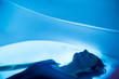 © Stocksy - Relaxed woman during sensory deprivation float experience