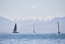Sailboat Racing On A Sunny Day