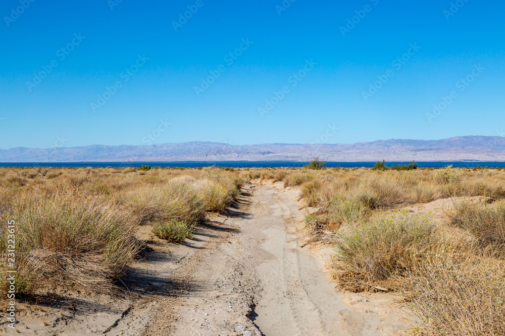 A sandy pathway at the Salton Sea, with the water in the distance and a clear sky overhead - obrazy, fototapety, plakaty 