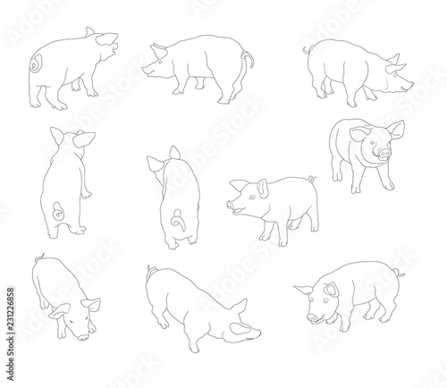 FAMILLE de COCHONS 8 cochon porcinet Stickers Farm Animal graphiques CUISINE WALL ART