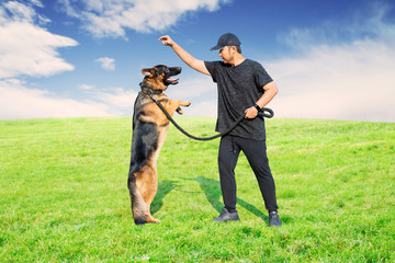 Asian man training his dog in the meadow