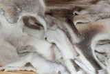 Fototapeta Tęcza - Reindeer hides in pile