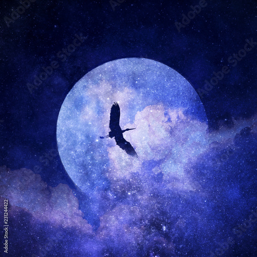 1 194 Cielo Stellato E Luna Di Notte Foto Foto Stock Gratis E Royalty Free Da Dreamstime
