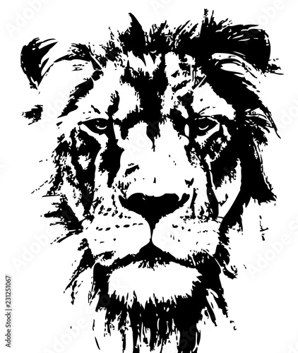 Foto-Lamellenvorhang - Lion head vector hand drawn (von Anastasiya)