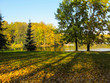 Autumn sunny park with a beautiful lake. Bright colored trees are reflected in the water of the lake. On the grass with fallen leaves visible long shadows of tree trunks