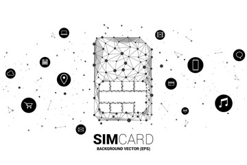 Poster - Vector Polygon dot connect line shaped sim card icon with functional icon. Concept for function of mobile sim card technology  and network.