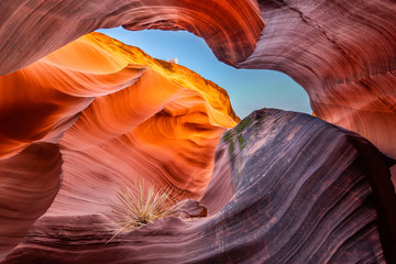 Wall Mural - Rattlesnake Canyon 