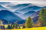 Fototapeta Paryż - Scenic mountain landscape. View on the Black Forest in Germany, covered in fog. Colorful travel background.
