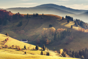 Wall Mural - Scenic mountain landscape. View on Black Forest in Germany, covered in fog. Colorful travel background.