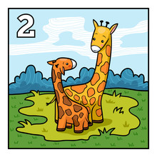 Cartoon Illustration For Children. Learn To Count With Animals, Two Giraffes