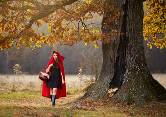 Wall Mural - Red Riding Hood cosplay in the forest