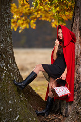 Wall Mural - Red Riding Hood cosplay in the forest