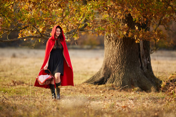 Wall Mural - Red Riding Hood cosplay in the forest