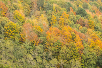 Autumn season on the Etna volcano