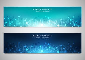Wall Mural - vector banners and headers for site with dna strand and molecular structure. genetic engineering or 
