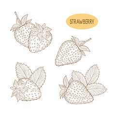 Canvas Print - Strawberry. Berry. Set. Plain pattern on a white background. Coloring.