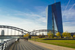 Frankfurt Mainufer mit EZB
