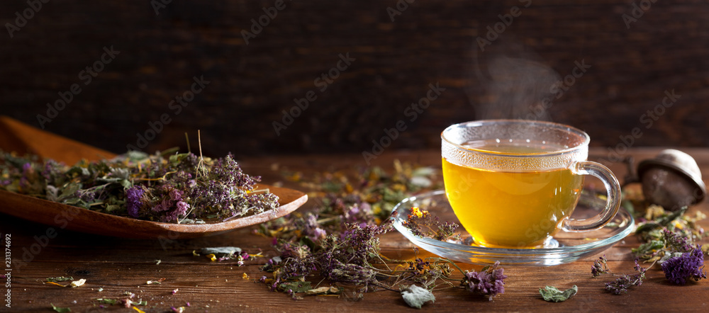 Cup of herbal tea with various herbs - obrazy, fototapety, plakaty 