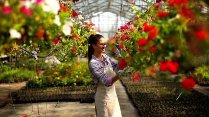 Wall Mural - Pretty young woman working with spring flowers in the greenhouse