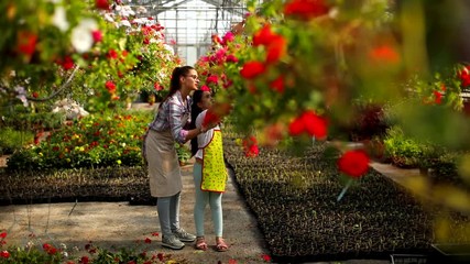 Wall Mural - Two young florists enjoying work in the greenhouse