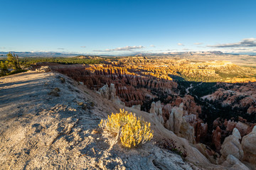 Wall Mural - Bryce Canyon National Park at Golden Hour