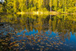 Autumn forest with a beautiful lake in sunny day. Bright colorful trees reflected in calm water with fallen leaves