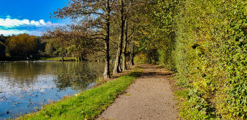 Poster - autumn walk