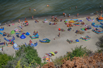 Wall Mural - Baltic beach from cliff summer time