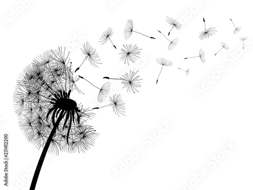 Abstract black dandelion, dandelion with flying seeds - for stock