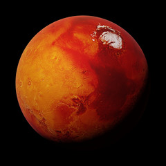 Wall Mural - planet mars during the martian winter