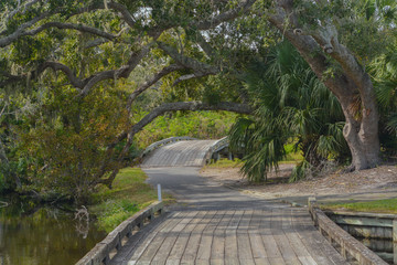 Wall Mural - Wood bridge near Amelia Plantation in Nassau County, Florida.