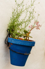 Wall Mural - ceramic flower pot with flowers hung on the wall, decorating the urban space