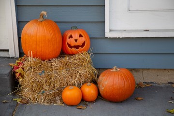 halloween harvest festivities