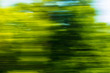 © schankz - Nature in motion from the train window
