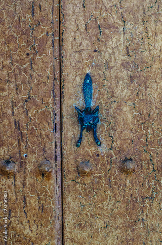 Fényképezés  Door with brass knocker in the shape of a fox, beautiful entrance to the house