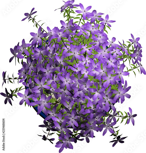 Plant & Tree overhead icon / top view symbols isolated on white